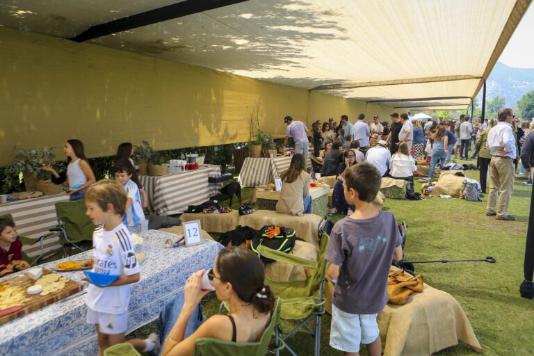 Día de la Rama de Polo